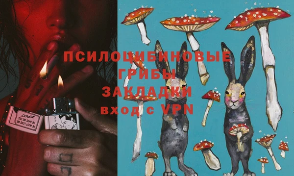 стафф Семёнов