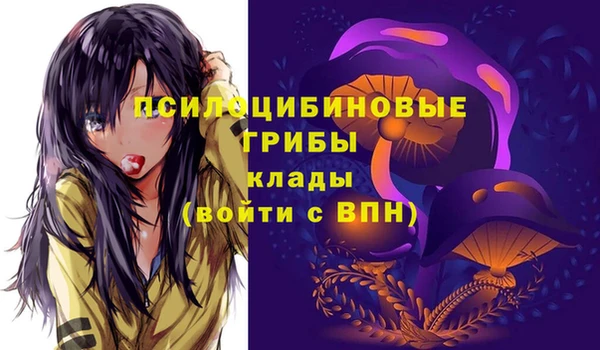 спайс Алзамай