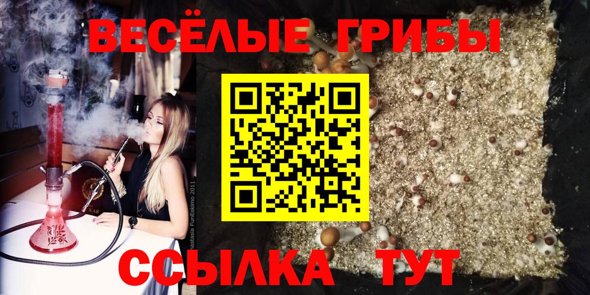 Псилоцибиновые грибы Psilocybe Нурлат