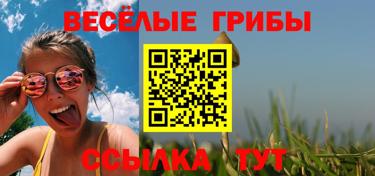 Псилоцибиновые грибы GOLDEN TEACHER  Вход с VPN  Галлюциногенные грибы Cubensis  Нурлат 